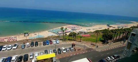 Bird's eye view, Beach, Sea view, Location