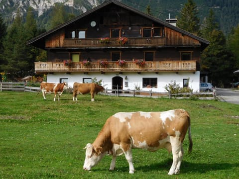 Thoamlhof Apartment in Tyrol