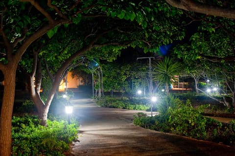 Facade/entrance, Night, Garden, View (from property/room)