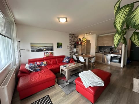 Kitchen or kitchenette, Living room, Seating area, Dining area, stove