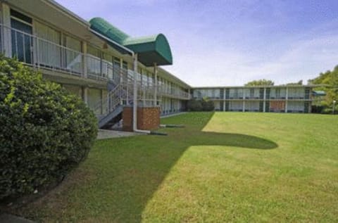 Property building, Day, Garden