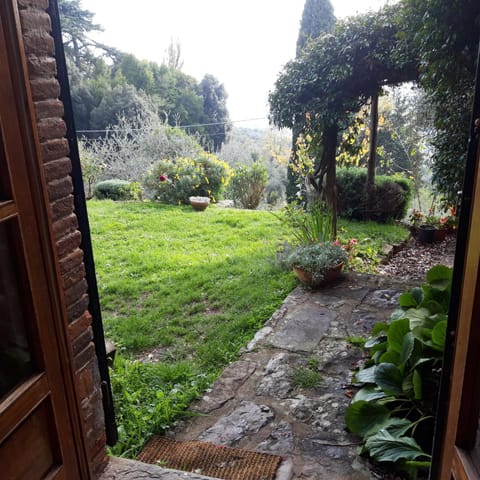 Garden view
