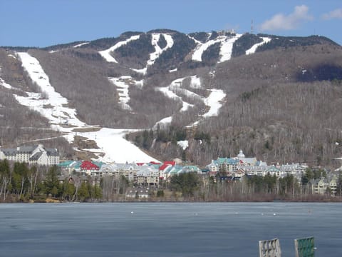 Nearby landmark, Natural landscape