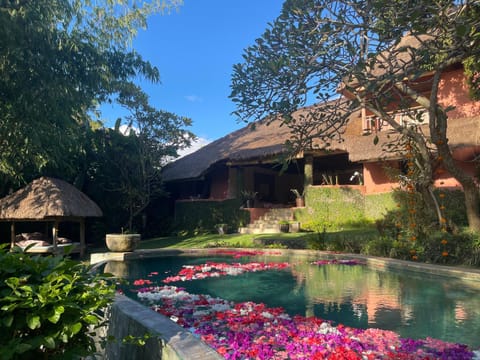Property building, Garden, Garden view, Pool view, Swimming pool