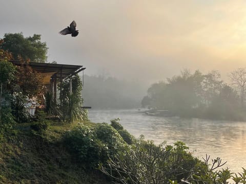 Natural landscape, River view, Sunrise