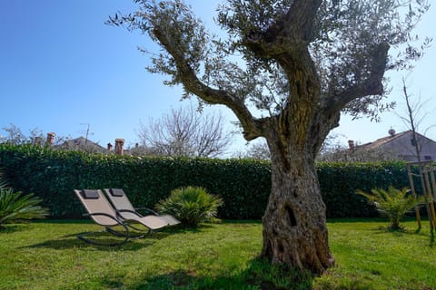 Natural landscape, Garden, Garden view, sunbed