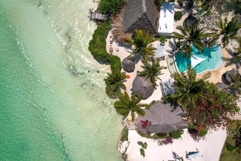 Bird's eye view, Beach, Pool view, Swimming pool