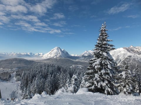 Natural landscape, Winter, Skiing