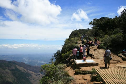 Natural landscape