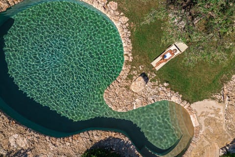 Natural landscape, Garden, Pool view, Swimming pool