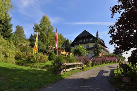 Property building, Day, Garden