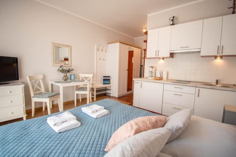Bed, TV and multimedia, Kitchen or kitchenette, Photo of the whole room, towels, wardrobe