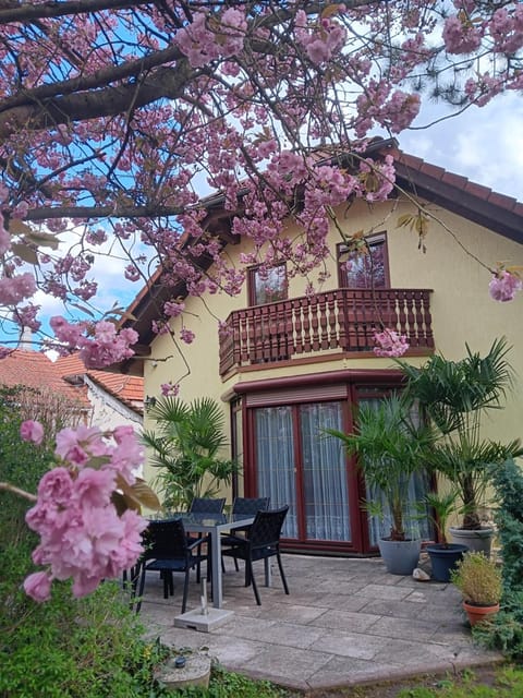 Property building, Patio, Garden