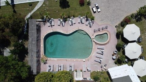 Bird's eye view, Pool view, Swimming pool, sunbed