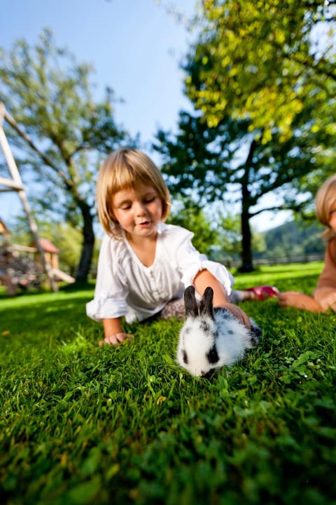 People, Animals, young children