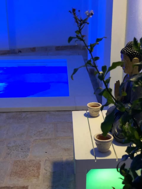 Garden, Swimming pool