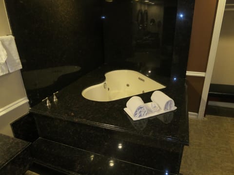 Dynasty Suites Hotel Hotel in Riverside