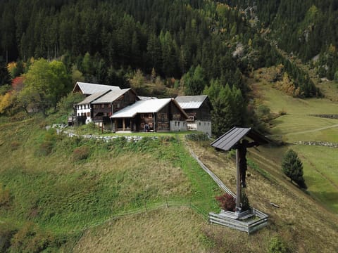 Bird's eye view, Garden