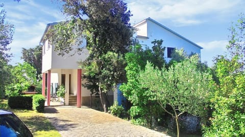 Property building, Summer, Garden