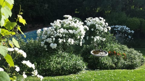 Three Oaks Bed and Breakfast in Cape Town