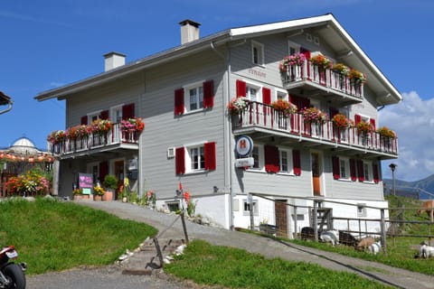 Property building, Summer
