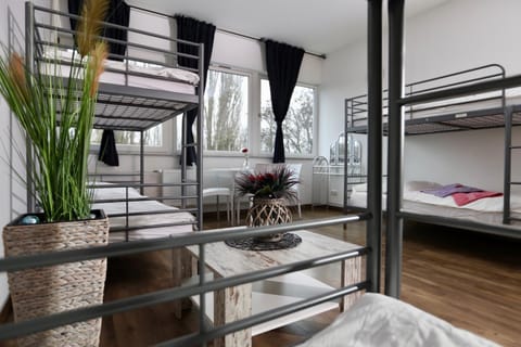 Bed, Photo of the whole room, Bedroom, bunk bed