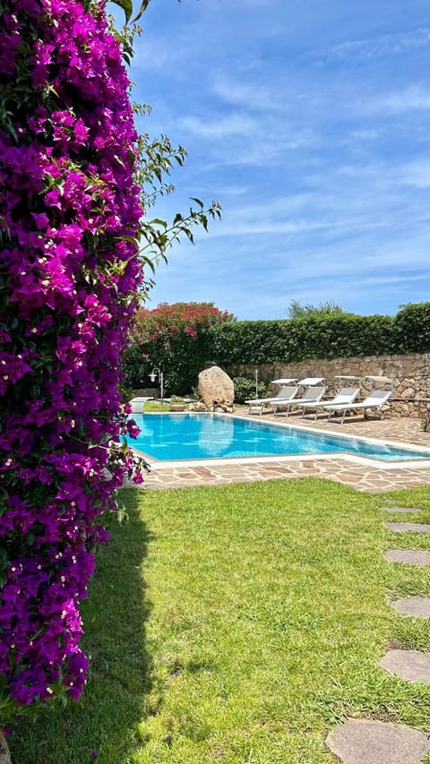 Spring, Day, Natural landscape, Garden, Garden view, Pool view, Swimming pool, sunbed