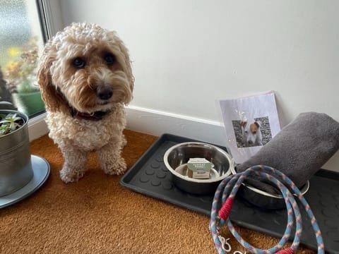 1 Woodlands House in Wales