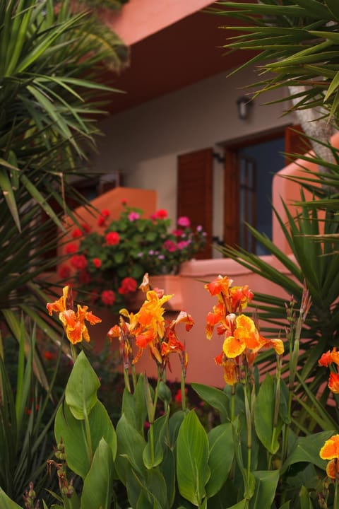 Facade/entrance, Garden view
