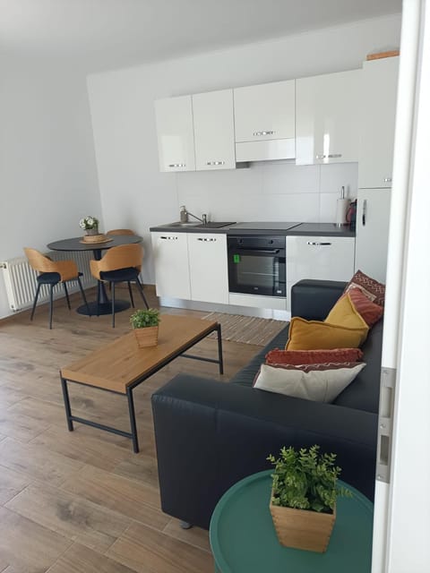 Kitchen or kitchenette, Living room, Seating area, Dining area, oven, stove