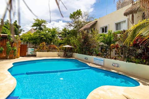 Pool view, Swimming pool, sunbed