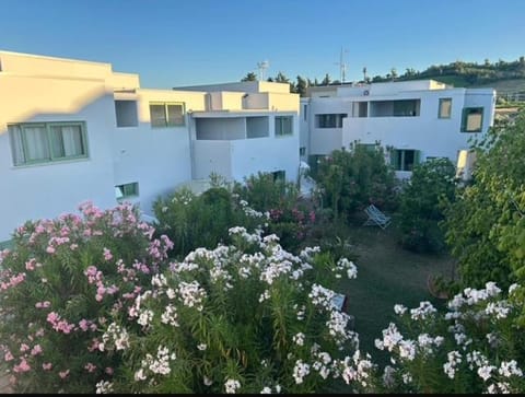 Property building, Day, Garden, Garden view
