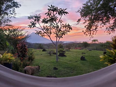Natural landscape, Garden, Garden view, Sunset