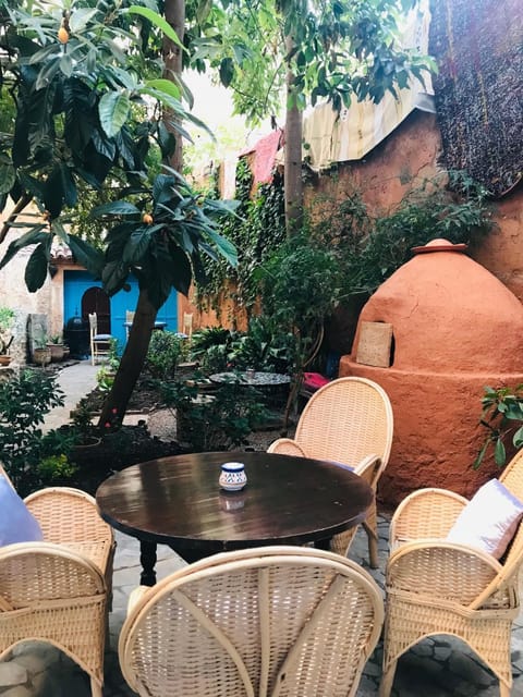 Patio, Garden