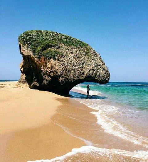 Natural landscape