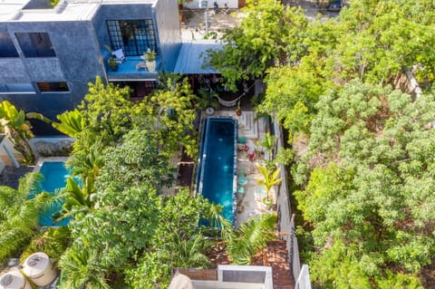 Garden view, Swimming pool