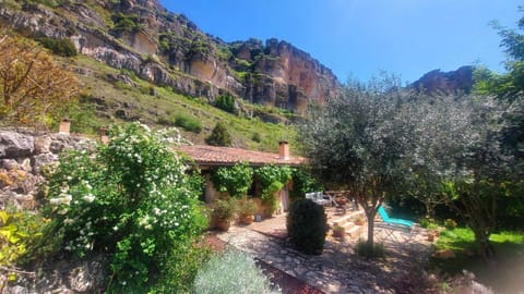 View (from property/room), Garden view