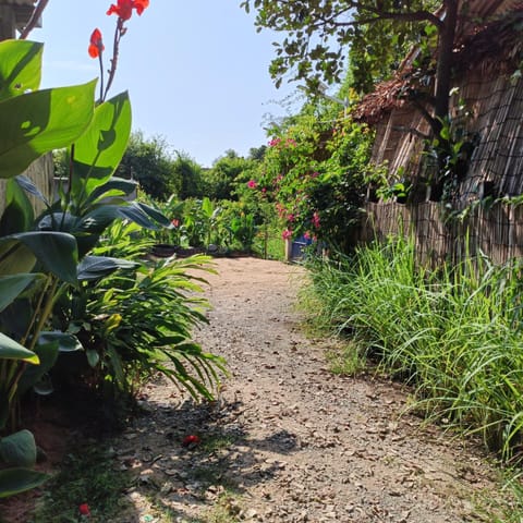 Property building, Garden