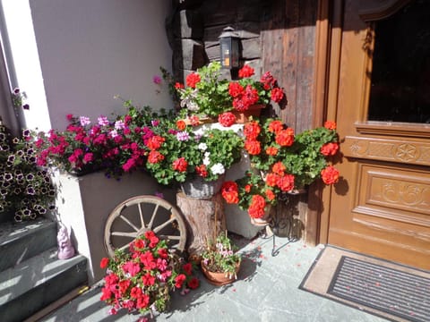 Facade/entrance, Summer