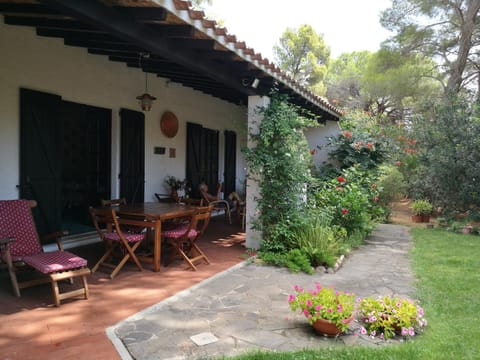 Patio, Garden