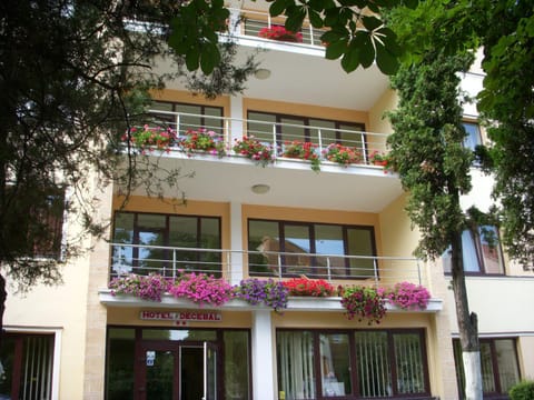 Facade/entrance, Winter, Summer