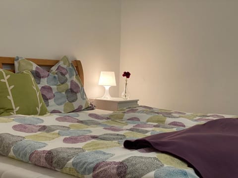 Alpen Apartement Apartment in Hallstatt