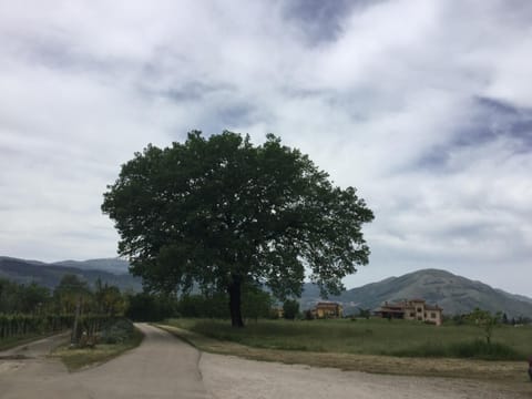 La Fonte Farm Stay in Basilicata