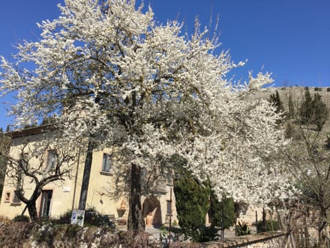 La Fonte Farm Stay in Basilicata