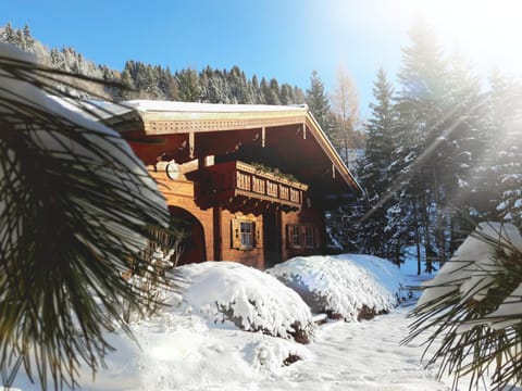Property building, Winter, Garden, Mountain view