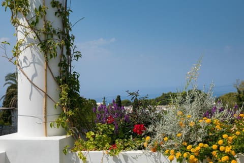 Day, Summer, Garden, Hot Tub, Balcony/Terrace, Open Air Bath