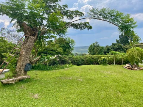 Day, Garden, Garden view