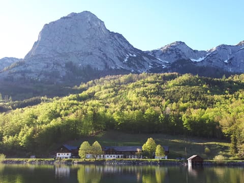 Natural landscape