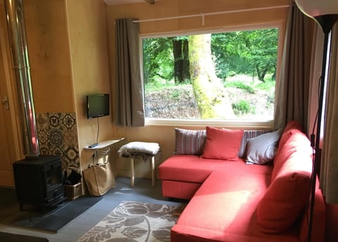 Bed, Living room, Seating area