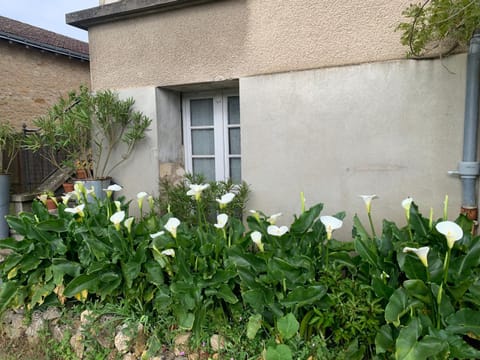 Appartement Les Acanthes 2ch Poitiers centre Apartment in Poitiers